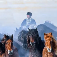 Ȩ����Ϣת��ح����׷��������